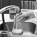 The Role of Chlorine and Chloramine in Disinfection and Removal through Reverse Osmosis